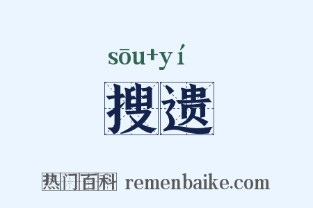 搜遗是什么意思的图片
